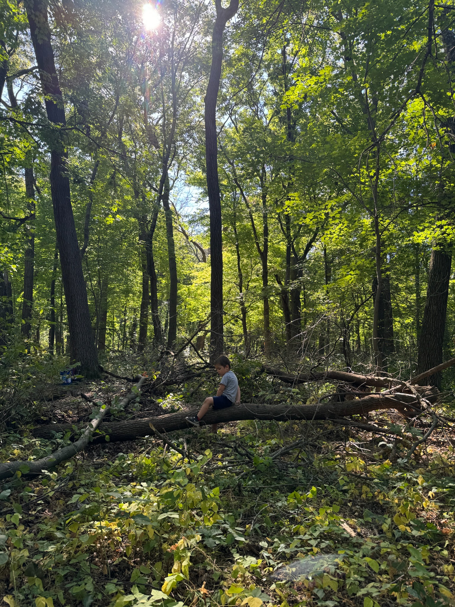 Rooted in Nature: A Parent’s Guide to Nature Preschool